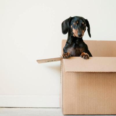 Moving_On
